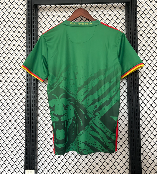 Maillot Cameroun